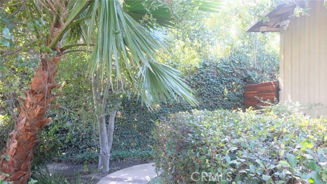449 N Bundy Dr, Los Angeles, CA 90049, photo 15